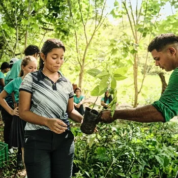 Nachhaltig investieren in Segelfrachtschiffe