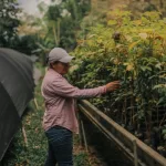 Nachhaltig investieren – Regenwälder Panama aufforsten