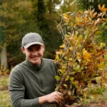 Nachhaltig spenden – Baum-Patenschaften in Deutschland