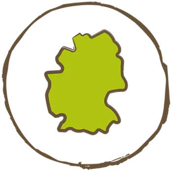 Pflanzung in
Deutschland