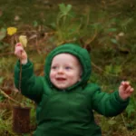 Nachhaltig spenden – Baum-Patenschaften in Deutschland