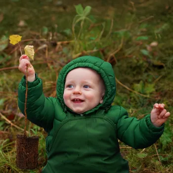Nachhaltig spenden – Baum-Patenschaften in Deutschland