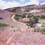 Nachhaltig spenden: zerstörter Regenwald aufgeforstet