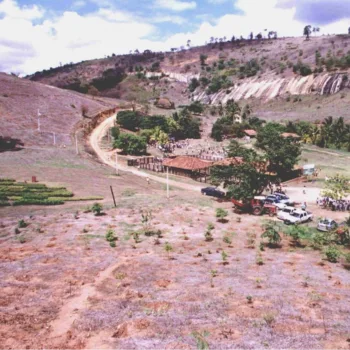 Nachhaltig spenden: zerstörter Regenwald aufgeforstet