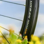 Nachhaltige Reifen aus Löwenzahnpflanze Naturkautschuk