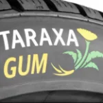 Nachhaltige Reifen aus Löwenzahnpflanze Naturkautschuk