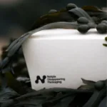 Umweltfreundliche Lebensmittelverpackung