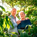 Zerstörter Regenwald aufgeforstet