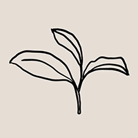 Beste Bio-
Qualität